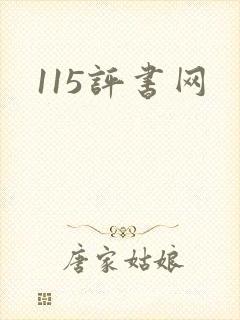 115评书网