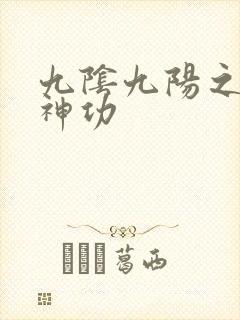 九阴九阳之阴阳神功