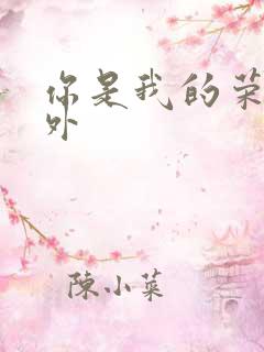 你是我的荣耀番外