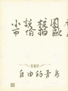 小说 校园 都市 偷拍 欧美