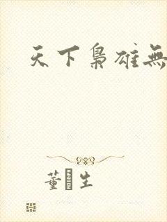 天下枭雄无弹窗