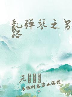 乱弹琴之另一条路