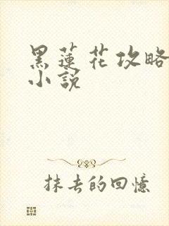 黑莲花攻略手册小说
