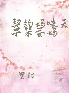 契约妈咪天才儿子笨蛋妈