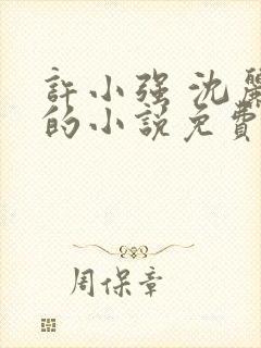 许小强 沈丽娟的小说免费阅读