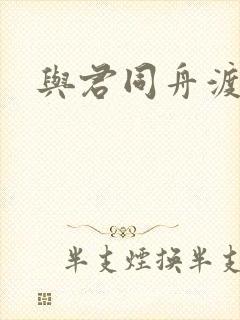 与君同舟渡小说