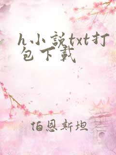 h小说txt打包下载