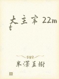 大主宰 22mt