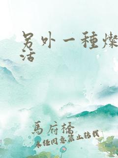 另外一种灿烂生活