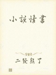 小说情书