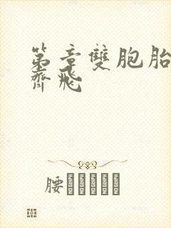 第章双胞胎姐妹齐飞