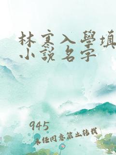 林寒入学填未婚小说名字