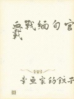 血战缅甸官方下载