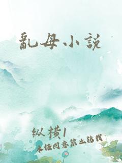 乱母小说