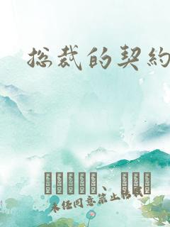 总裁的契约情人