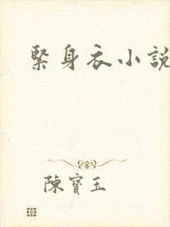 紧身衣小说