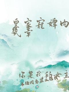 皇家宠婢肉在第几章