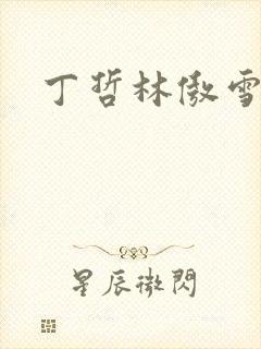 丁哲林傲雪小说