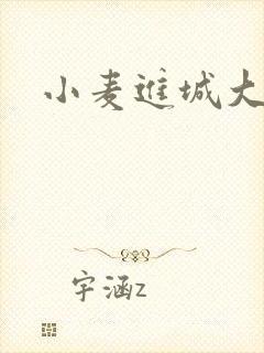 小麦进城大结局