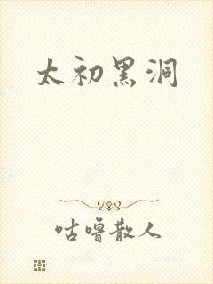 太初黑洞