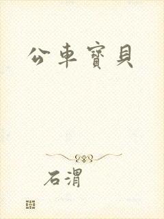 公车宝贝