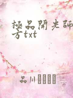 极品开光师李南方txt