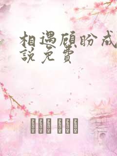 相遇顾盼成欢小说免费