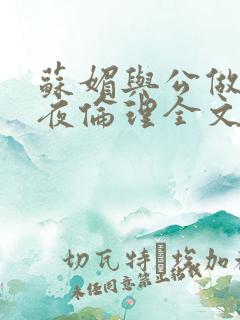 苏媚与公做了一夜伦理全文阅读