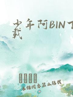 少年阿BIN下载