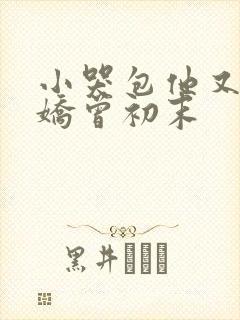 小哭包他又软又娇曾初末