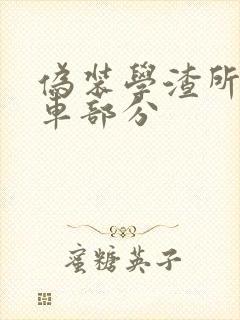 伪装学渣所有开车部分