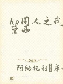 hp同人之我叫黛西