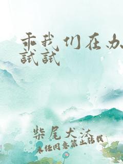 乖我们在办公室试试