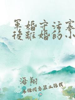 军婚守活寡重生后离婚的小说