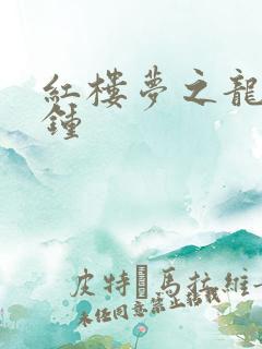 红楼梦之龙套秦钟