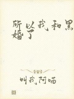 所以我和黑粉结婚了