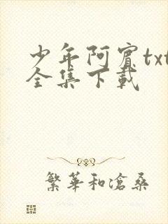 少年阿宾txt全集下载