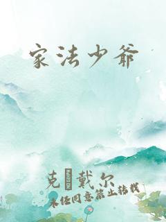 家法少爷
