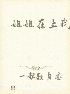 姐姐在上我在下