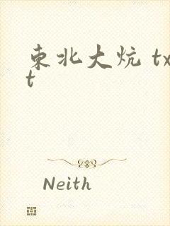 东北大炕 txt