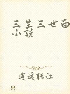 三生三世白暮泪小说