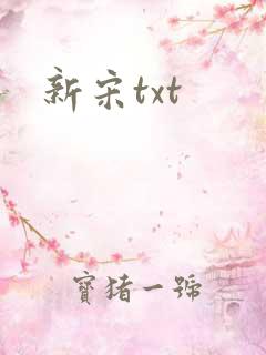 新宋txt