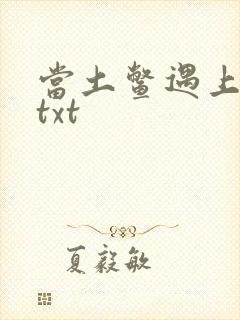 当土鳖遇上海龟txt