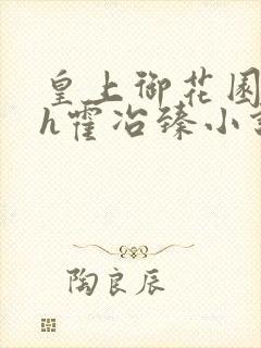 皇上御花园hlh霍冶臻小说