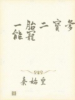 一胎二宝爹地超能宠