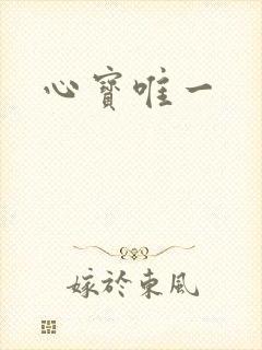 心宝唯一