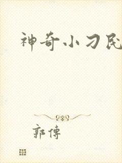 神奇小刁民