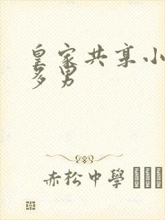 皇家共享小公主多男