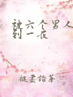 被六个男人躁J到一夜