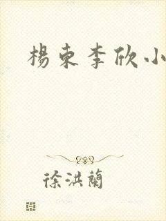 杨东李欣小说